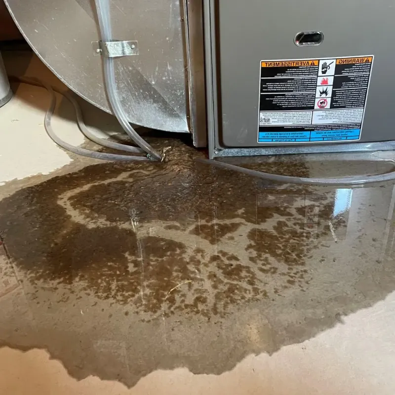 Pipe Burst and Leak Restoration in Barceloneta, PR